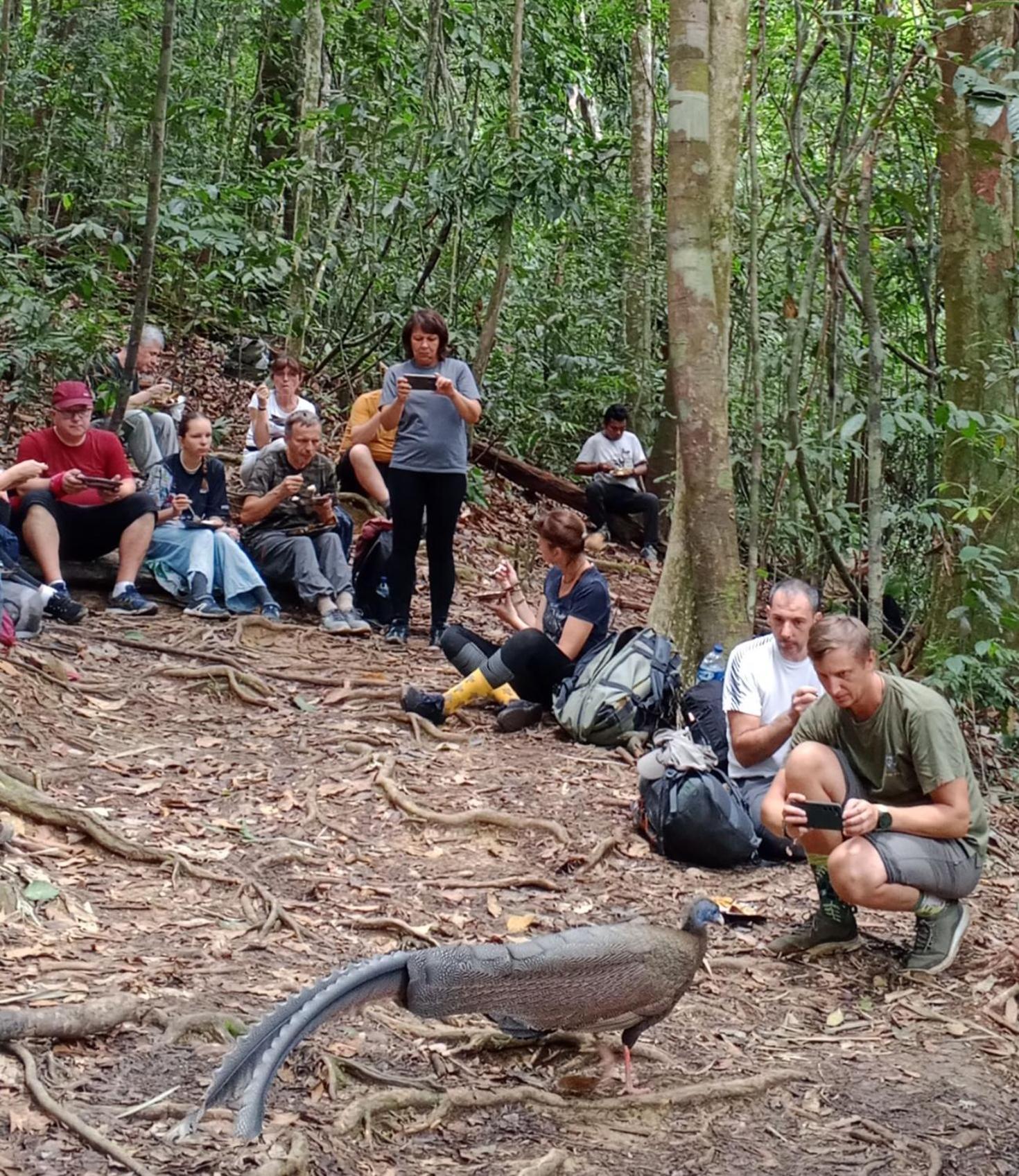 Sama Sama Homestay & Trekking Only Stay Here Book Trekking And Transport With Us Bukit Lawang Exterior photo